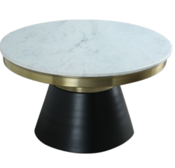 PURI0017-removebg-preview