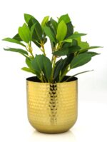 PLANTERS R&S3209 - Image 2